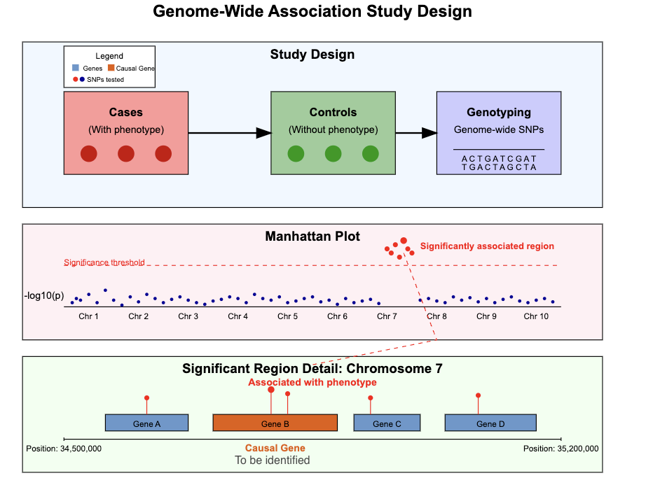 GWAS design